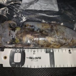 久しぶりの舞鶴釣行